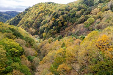 Romanya 'nın güzel kırsal kesiminin manzarası. Güneşli bir öğleden sonra. Dağlardaki harika bahar manzarası. 