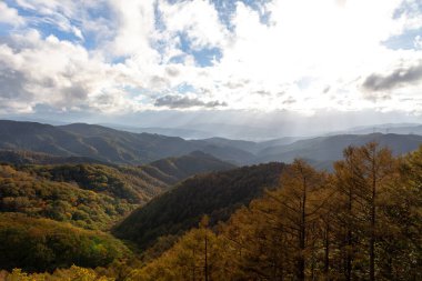 Romanya 'nın güzel kırsal kesiminin manzarası. Güneşli bir öğleden sonra. Dağlardaki harika bahar manzarası. 