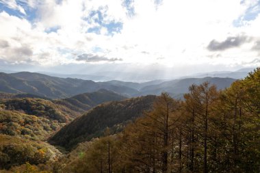 Romanya 'nın güzel kırsal kesiminin manzarası. Güneşli bir öğleden sonra. Dağlardaki harika bahar manzarası. 