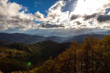 Romanya 'nın güzel kırsal kesiminin manzarası. Güneşli bir öğleden sonra. Dağlardaki harika bahar manzarası. 