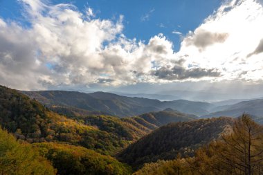 Romanya 'nın güzel kırsal kesiminin manzarası. Güneşli bir öğleden sonra. Dağlardaki harika bahar manzarası. 
