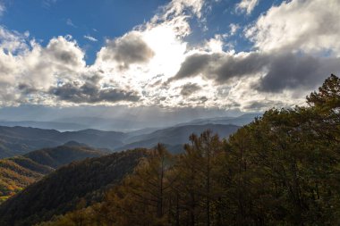 Romanya 'nın güzel kırsal kesiminin manzarası. Güneşli bir öğleden sonra. Dağlardaki harika bahar manzarası. 