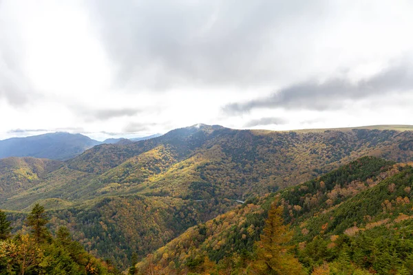 Panorama Van Het Prachtige Landschap Van Romania Zonnige Middag Prachtig — Stockfoto