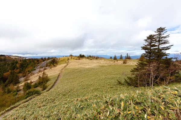 Panorama Van Het Prachtige Landschap Van Romania Zonnige Middag Prachtig — Stockfoto