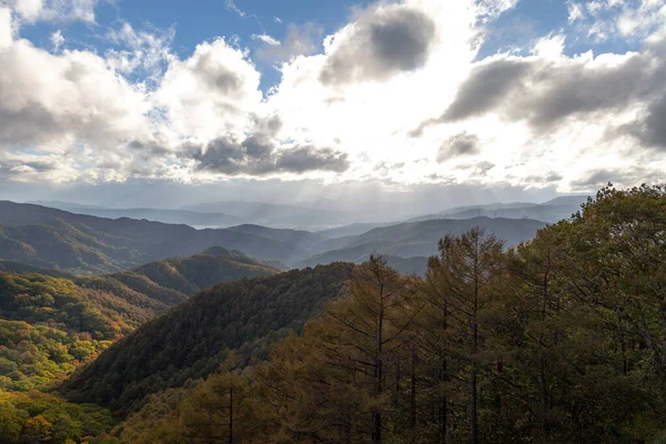 Panorama Van Het Prachtige Landschap Van Romania Zonnige Middag Prachtig — Stockfoto