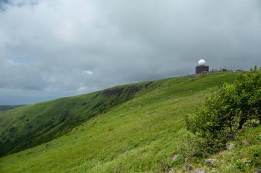 Bahar ormanı doğası. Renkli bir ormanda canlı bir sabah. Ağaçların arasından güneş ışınları geçiyor. Güneş ışığıyla doğanın manzarası.