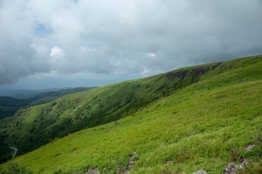 Bahar ormanı doğası. Renkli bir ormanda canlı bir sabah. Ağaçların arasından güneş ışınları geçiyor. Güneş ışığıyla doğanın manzarası.