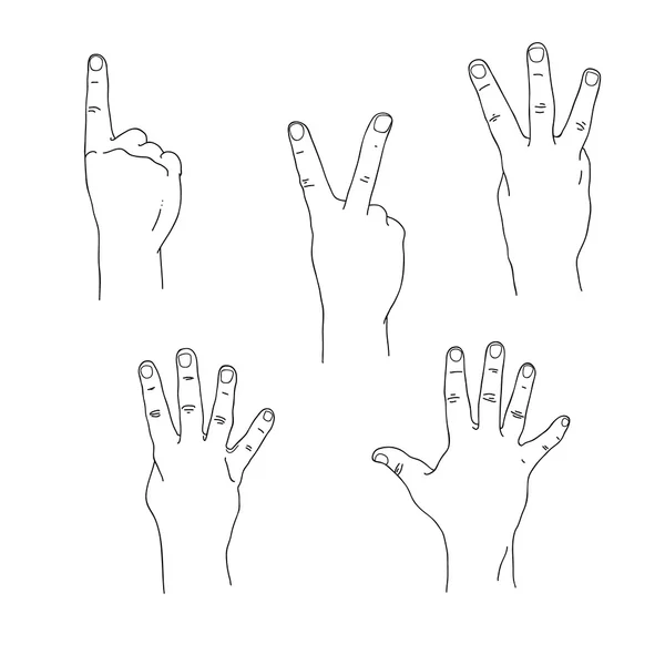 Set di mani che contano da uno a cinque lato esterno — Vettoriale Stock