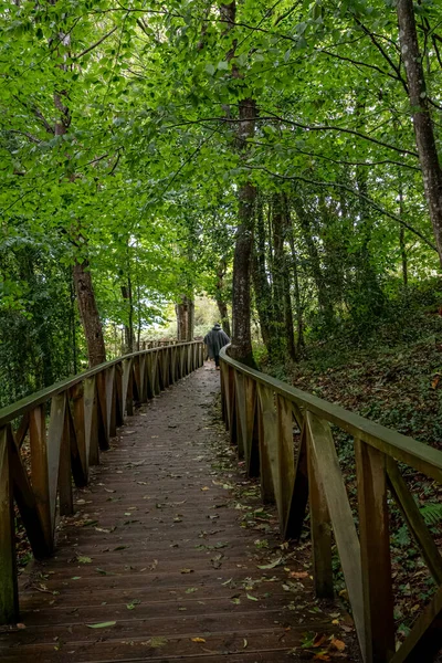 Botas Senderismo Pisando Suelo Hojas Otoño Monumento Natural Las Secuoyas — Foto de Stock