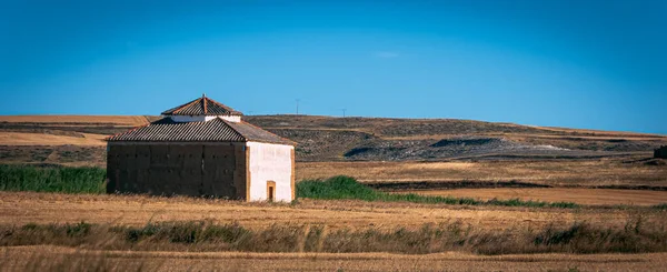 Typowy Gołąb Polach Kastylii Prowincja Palencia Hiszpania — Zdjęcie stockowe