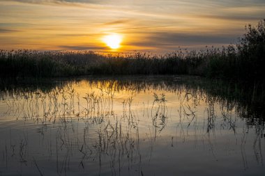 İspanya. El Hondo de Elche doğal parkında gün doğumu. Alicante