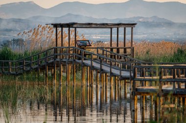 İspanya. El Hondo de Elche doğal parkında gün doğumu. Alicante