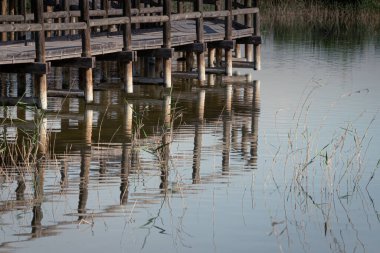 İspanya. El Hondo de Elche doğal parkında gün doğumu. Alicante