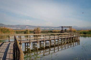 İspanya. El Hondo de Elche doğal parkında gün doğumu. Alicante