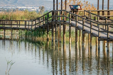 İspanya. El Hondo de Elche doğal parkında gün doğumu. Alicante