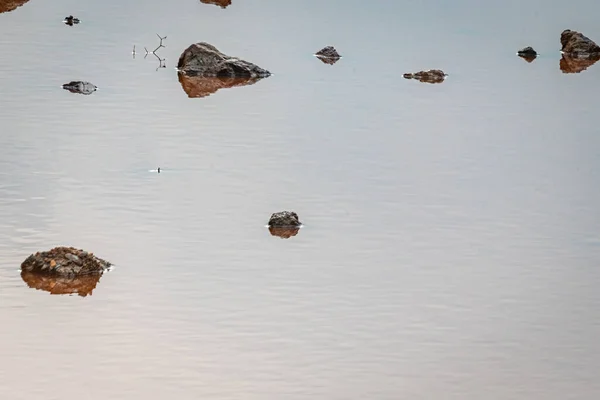Мінералізовані Води Покинутих Шахт Мазарну Територія Мурсії Іспанія — стокове фото