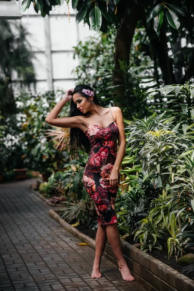 Young Beautiful Brunette Posing Dense Thickets Jungle Rainforest Spa — Stock Photo, Image