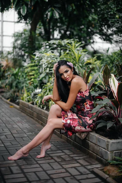 Uma Jovem Bela Morena Posando Entre Densas Moitas Selva Floresta — Fotografia de Stock