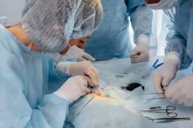 Modern bir veteriner kliniğinde, ameliyat masasında yakın plan bir hayvan üzerinde yapılır. Veteriner Kliniği