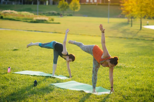 Las Chicas Jóvenes Hacen Yoga Aire Libre Parque Durante Atardecer — Foto de Stock