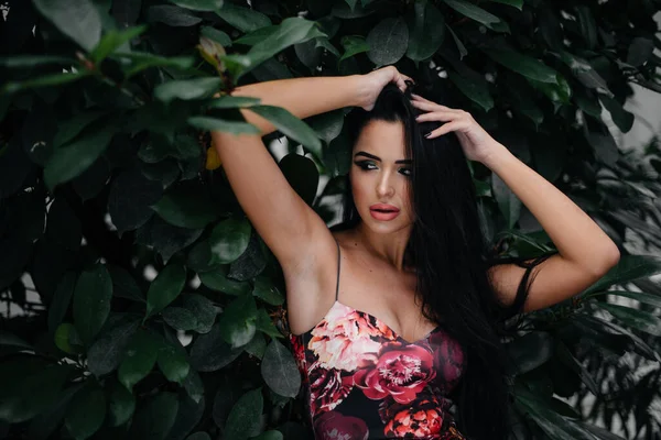 Uma Jovem Bela Morena Posando Entre Densas Moitas Selva Floresta — Fotografia de Stock