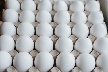 Karton bir form üzerine yakın plan beyaz yumurta tepsisi. Tarım endüstrisi