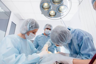 Modern bir veteriner kliniğinde, ameliyat masasında yakın plan bir hayvan üzerinde yapılır. Veteriner Kliniği