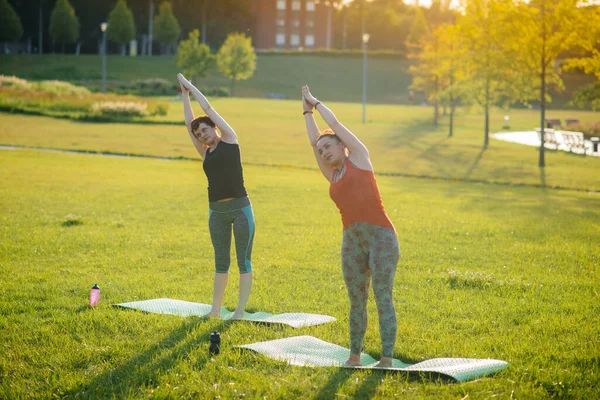 Las Chicas Jóvenes Hacen Yoga Aire Libre Parque Durante Atardecer — Foto de Stock