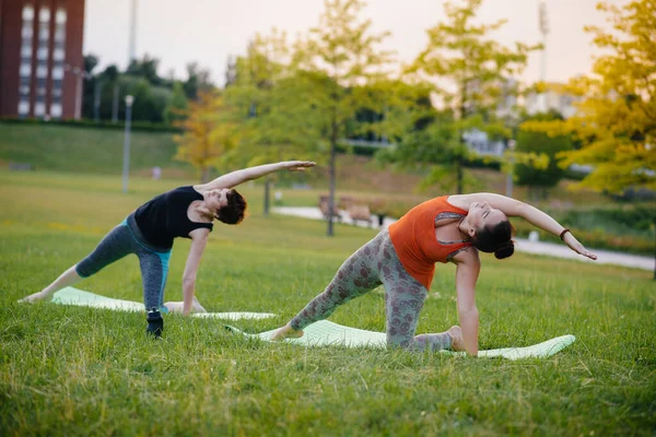 Las Chicas Jóvenes Hacen Yoga Aire Libre Parque Durante Atardecer — Foto de Stock