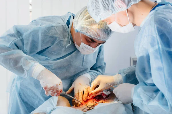 Moderní Veterinární Klinice Provádí Operace Která Zachránit Život Velkému Psovi — Stock fotografie