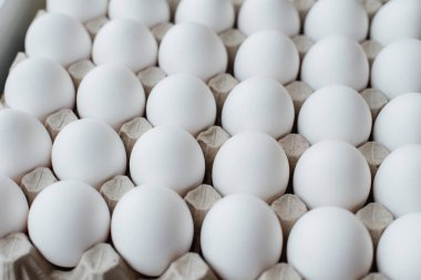 Karton bir form üzerine yakın plan beyaz yumurta tepsisi. Tarım endüstrisi