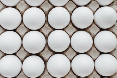 Karton bir form üzerine yakın plan beyaz yumurta tepsisi. Tarım endüstrisi