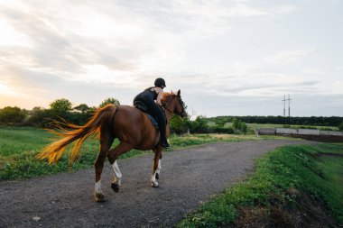 Safkan bir ata binen genç ve güzel bir kız jokey gün batımında ata biniyor. Binicilik sporları, ata binme.