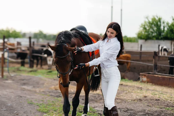 Une Jeune Jolie Cavalière Pose Près Étalon Pur Sang Dans — Photo