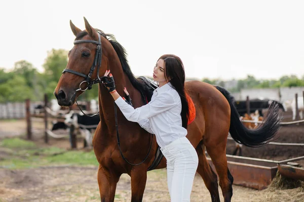 Young Pretty Girl Rider Poses Thoroughbred Stallion Ranch Horse Riding — Stock Photo, Image