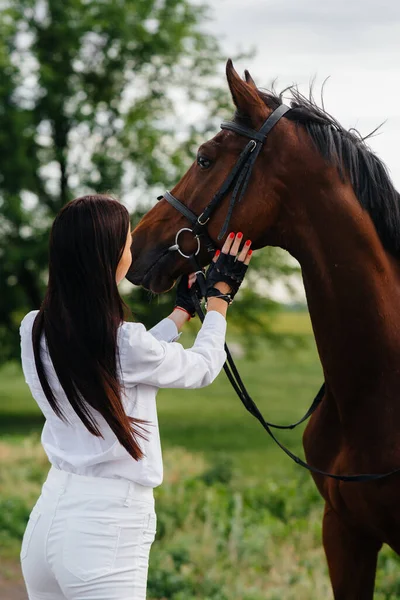 一位年轻漂亮的女骑手在农场里的一匹纯种马旁边摆姿势 — 图库照片