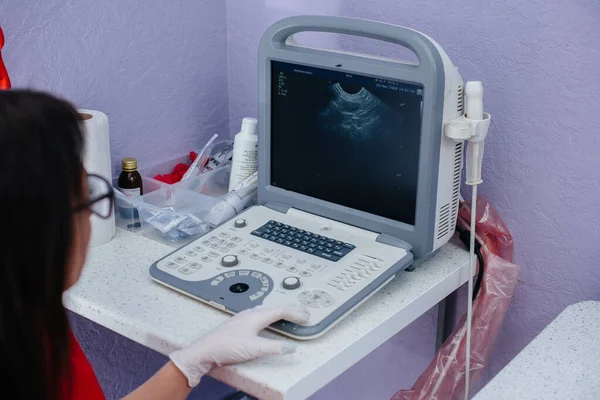 Moderní Veterinární Klinice Stole Provádí Ultrazvuk Čistokrevného Čivavy Veterinární Klinika — Stock fotografie