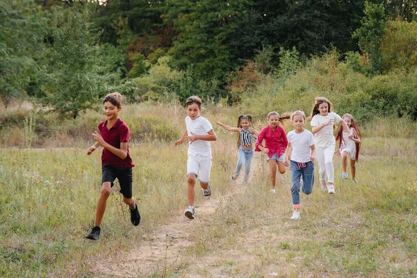 Een Groep Gelukkige Kinderen Rennen Spelen Het Park Bij Zonsondergang — Stockfoto