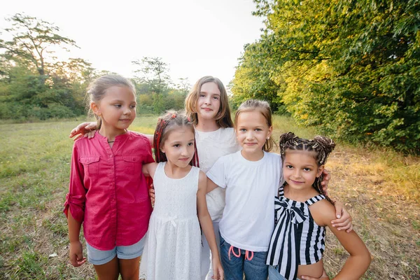 Група Веселих Дівчат Посміхається Грає Парку Під Час Заходу Сонця — стокове фото