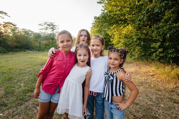 Grupo Chicas Alegres Están Sonriendo Jugando Parque Durante Atardecer Campamento — Foto de Stock