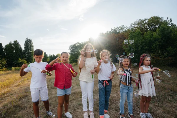 Grande Gruppo Allegri Bambini Gioca Nel Parco Gonfiano Bolle Sapone — Foto Stock