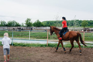 Genç ve güzel bir kız, bir yaz günü çiftlikte safkan bir Mare 'ye binmeyi öğreniyor. At binme, eğitim ve rehabilitasyon