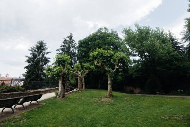 Aileler için bankları olan güzel bir park..