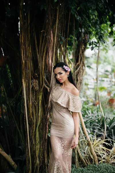 Uma Jovem Bela Morena Posando Entre Densas Moitas Selva Floresta — Fotografia de Stock