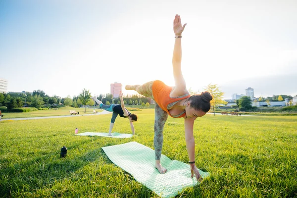 Las Chicas Jóvenes Hacen Yoga Aire Libre Parque Durante Atardecer — Foto de Stock