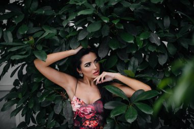 Genç ve güzel bir esmer, sık orman ve yağmur ormanları arasında poz veriyor. Spa