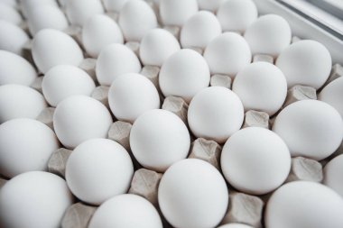 Karton bir form üzerine yakın plan beyaz yumurta tepsisi. Tarım endüstrisi
