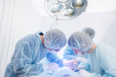 Modern bir veteriner kliniğinde, ameliyat masasında yakın plan bir hayvan üzerinde yapılır. Veteriner Kliniği