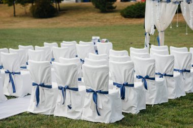 Şenlikli bir ziyafet için güzel dekore edilmiş ve düzenlenmiş sandalyeler. Dekor, düğün.