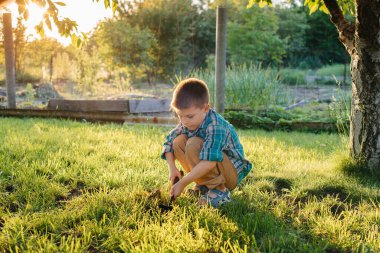 Sevimli küçük bir çocuk gün batımında bahçede filizler dikiyor. Bahçecilik ve tarım.
